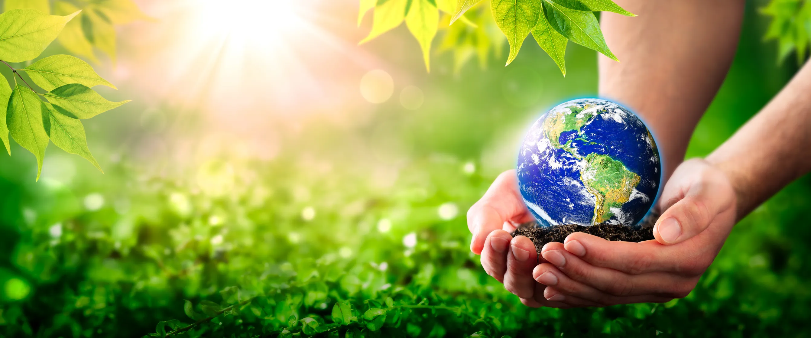 Foto - Sustainable Finance Basics for the Insurance sector